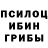 Псилоцибиновые грибы GOLDEN TEACHER Metra Vonatlus