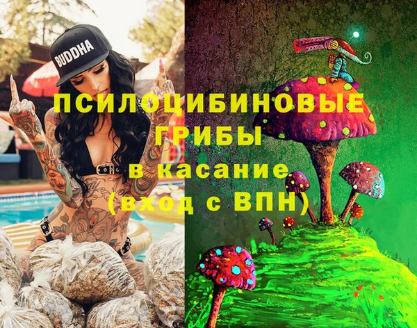 дмт Алзамай