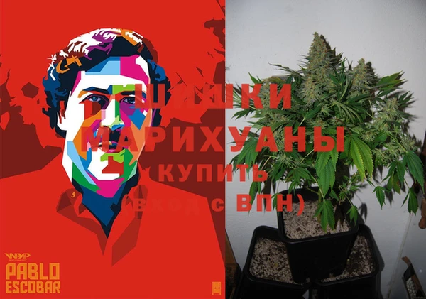 СК Алексеевка