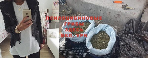 дмт Алзамай
