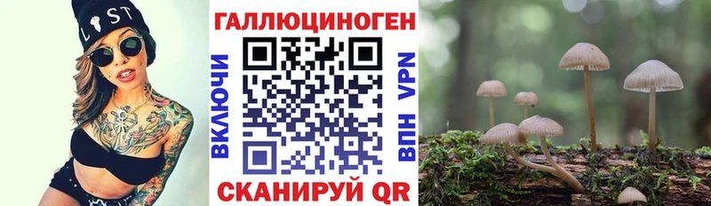 Псилоцибиновые грибы прущие грибы  как найти наркотики  Жиздра 
